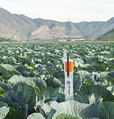 gThrive in field