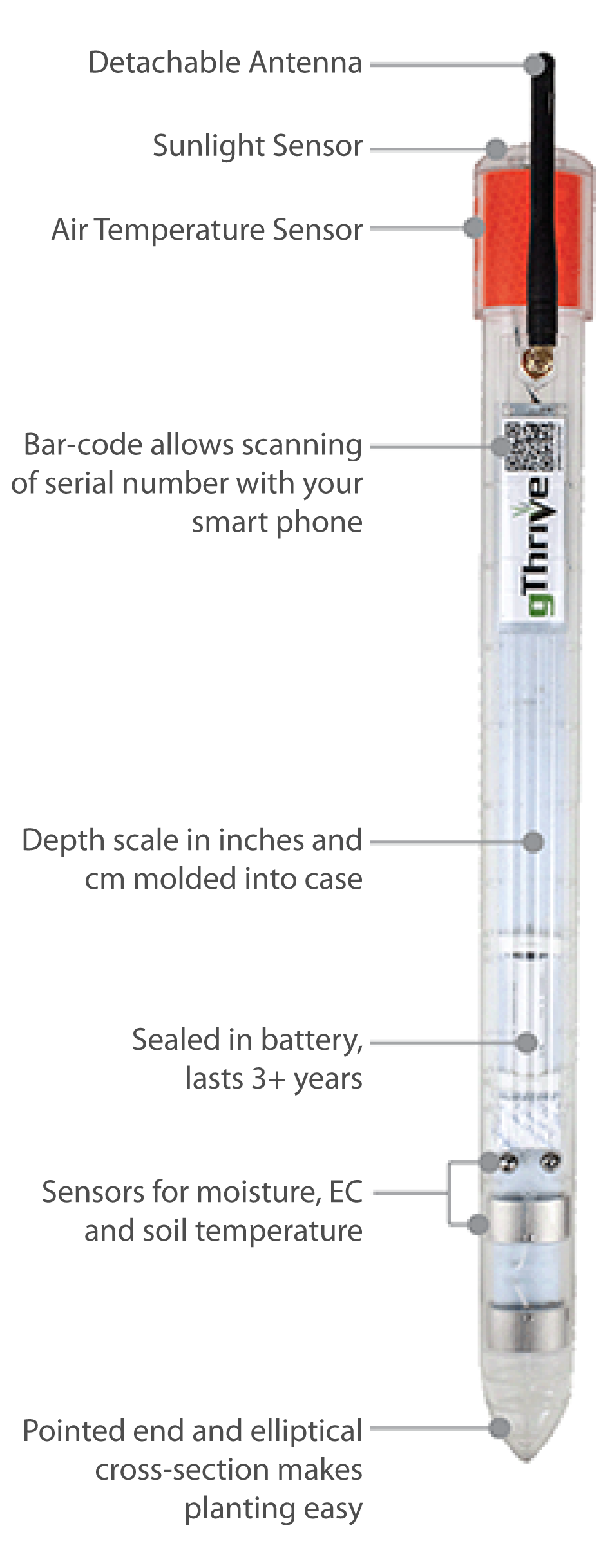 gThrive anatomy